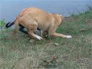 Timmy zabkt mit Duffy 2